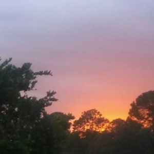 Meet your Posher, Maddie